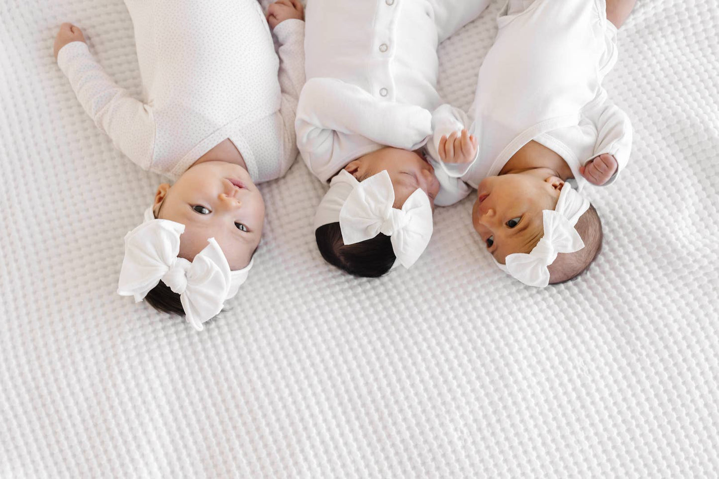 ITTY BITTY KNOT Bow: White