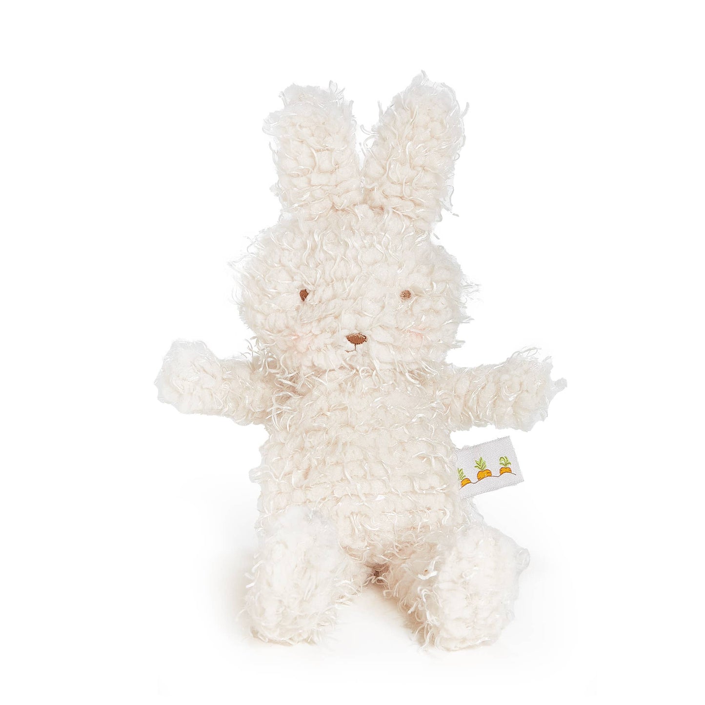 Shaggy Hoppy Bunny