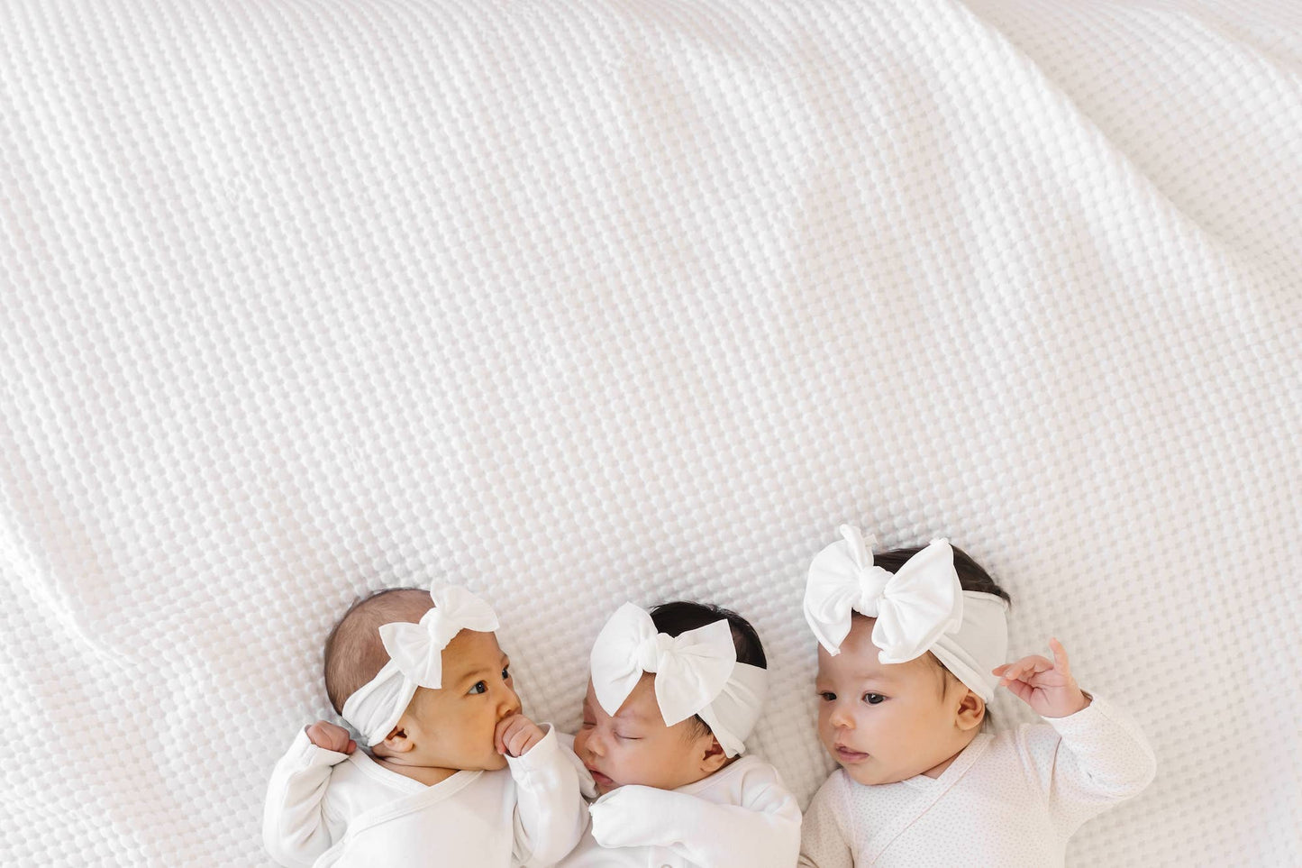 ITTY BITTY KNOT Bow: White